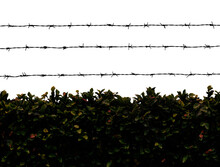 Dark Barbed Wire On Transparent Background. PNG File.