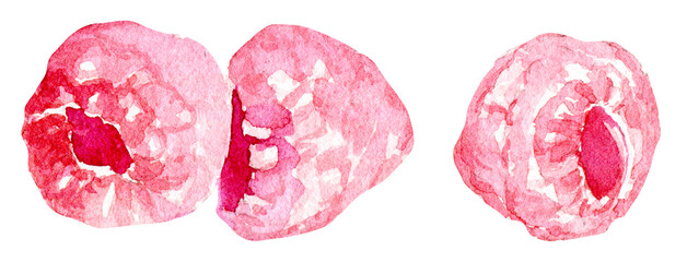 Watercolor raspberry, pink fruit, isolated background