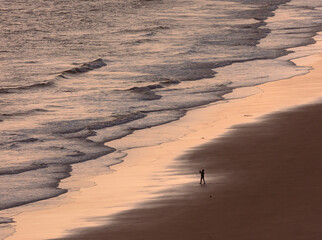 Wall Mural - footprints on the beach