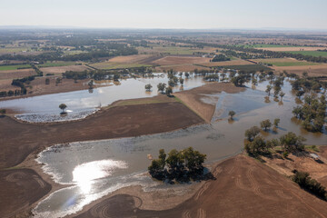 Wall Mural - receeding flood waters from the lachlan river near the new south wales central western town of forbe