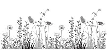Wildflowers Field Border Sketch Hand Drawn In Doodle Style Vector Illustration