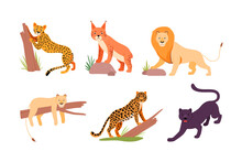 Set Of Different Wild Cats. Cheetah, Lion, Leopard, Puma, Panther, Jaguar Cartoon Vector Illustration