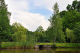 Fototapeta Tulipany - Summer landscape with forest, pond and village bridge