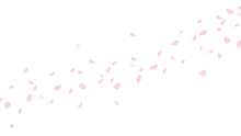 桜の花びらのイラスト　桜吹雪