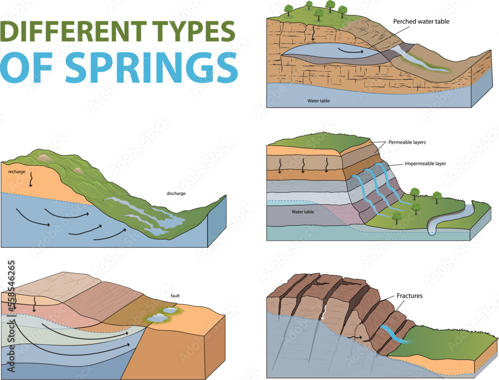 vector illustration of different types of springs diagram Stock Vector ...