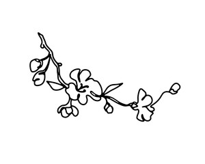 Wall Mural - Cherry branch with flowers one line art hand drawn black and white illustration