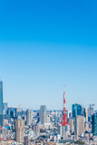 Fototapeta  - 日本の首都東京都の東京タワーとビル郡