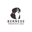 isolated face of bernese mountain dog, retro, pet shop, pets, logo for brand, shop, sticker, t-shirt, design vector illustration