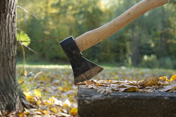 Hatchet or ax standing upright in a tree stump