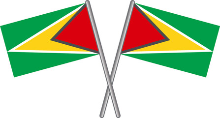 Wall Mural - Guyana flag 2023010523