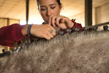 Detail Of Hands Of Young And Beautiful Woman Braiding The Mane Of A Horse In A Stable. Horse Riding Concept, Animals, Hairstyles, Care, Horsewoman.