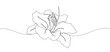 Lily flower in single continuous line drawing style for logo or emblem. modern vector illustration