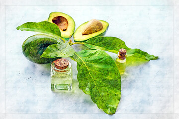 Wall Mural - Avocado oil with avocado fruit and leaves isolated on white background. Watercolor artistic work.