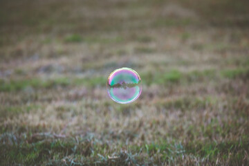 Wall Mural - soap bubble fly on the air in the nature public park.