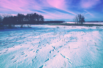 Poster - Field covered with snow. Snowy winter rural landscape during sunset with colorful sky