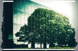 Green building. office building made of glass and a green tree. the coexistence of modernism and nature. contemporary business building reflected in sunshine on glass. Generative AI