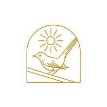 Mockingbird With Sunlight Outdoor  Line Art Logo Design