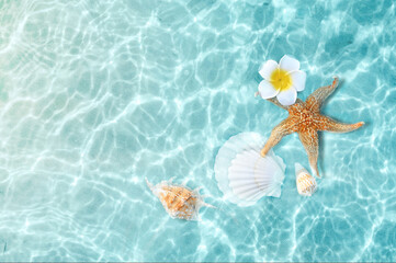 Starfish and flower on the summer beach in sea water. Summer background.