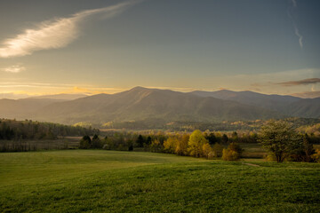 Sticker - Looking Out Over Open Field In Cades Cove