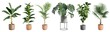 Leinwandbild Motiv Collection of beautiful plants in ceramic pots isolated on transparent background. 3D rendering.