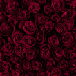 Viva Magenta roses background. Color of the year. Gift to a woman. Deep Magenta color.