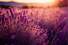 Lavender Landscape With Beautiful Sunset. AI