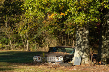 Abandoned Impala