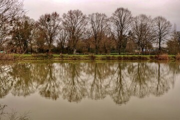 Poster - Reflets sur l'eau.