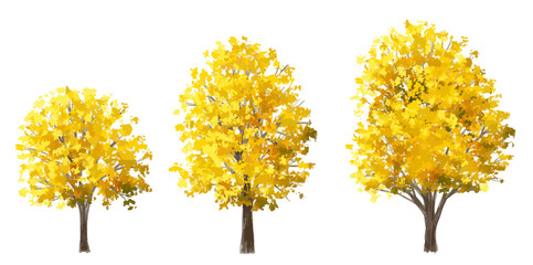 Wall Mural - vector watercolor of tree side view isolated on white background for landscape and architecture draw