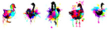 Abstract Colorful Ducks