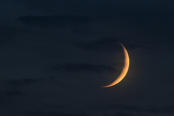 A young moon in the sky