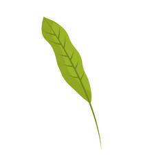 Sticker - leaf on white background