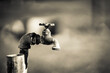 © VP Image - A single yard faucet in black and white