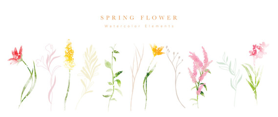 Fototapete - Watercolor hand drawn botanical vector set. Collection of abstract spring wild flowers, grass, leaf branch, floral leaves in minimal style. Design illustration for logo, wedding, invitation, decor