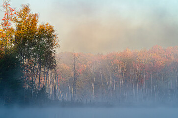 Poster - 550-18 Foggy Morning Lakeshore