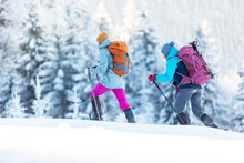 Hiking In The Mountains On Snowshoes. Two Girls With Backpacks Go Hiking In The Snow. Travel And Adventure Concept.