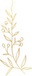 © TWINS DESIGN STUDIO - Gold leaf branch illustration