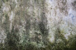 © ady sanjaya - close up of grungy concrete wall.