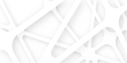 Abstract of white architectural structure pattern, Concept of future design .Creative and geometric shape with white luxury pattern and paper texture design in illustration with white line background 