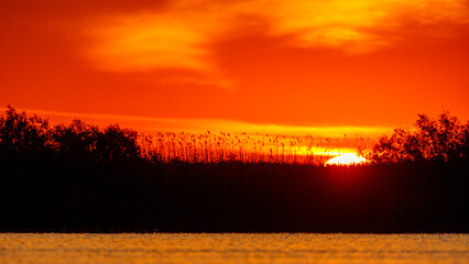 Poster - Sunrise with reflections in the Danube Delta in Romania