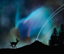 Bautiful Green Blue Aurora With Silhouette Forest And Run Deer