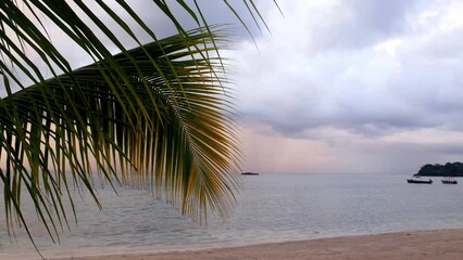 Wall Mural - At the Beach with Palm Trees in Negril, Jamaica, Caribbean,  Middle America