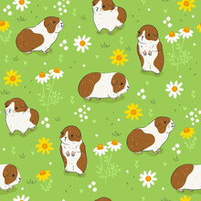 Guinea Pigs On Flower Meadows Seamless Pattern. Vector Graphics.
