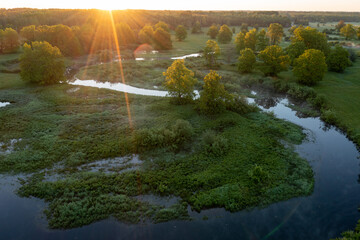 Wall Mural - Forest in summer colors. Green deciduous trees and winding blue river in sunset. Soomaa wooded meadow, Estonia, Europe