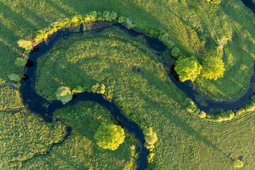 Wall Mural - Forest in summer colors. Green deciduous trees and winding blue river in sunset. Soomaa wooded meadow, Estonia, Europe