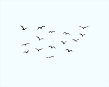Flock Of Bird Design Art