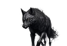 A Drawing Of An Aggressive Alpha Black Wolf On White Background.  This Is A Digital Art Illustration.