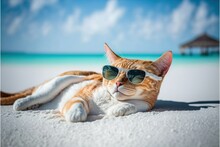 A Cat Wearing Sunglasses And Lying Down Beach Bed , Ai Generated