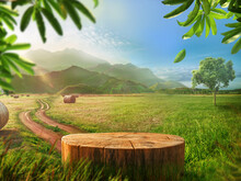 Tree Trunk Wood Podium Display For Food, Perfume, And Other Products On Nature Background, Farm With Grass And Orange Tree, Sunlight At Morning
