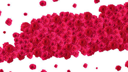 Wall Mural - red rose flower and small flower for wedding invitation or valentine day event frame